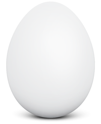 Only-Egg.png (1)