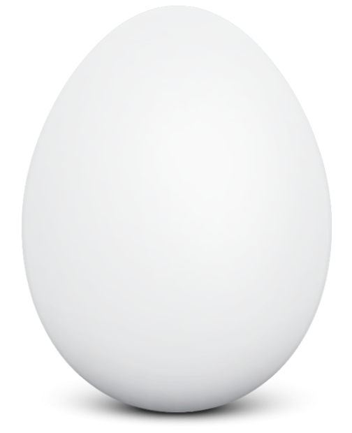 Only-Egg.png